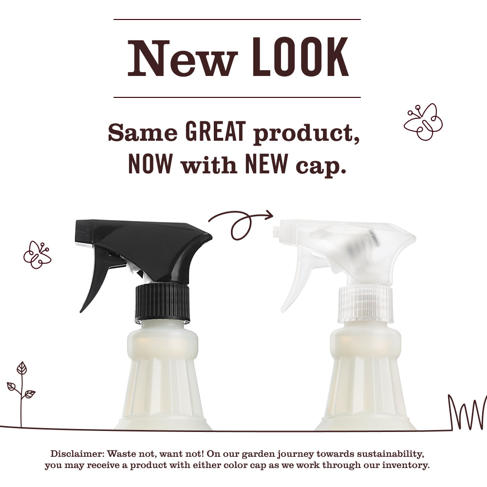 Elderberry Multi-Surface Everyday Cleaner - Image 3