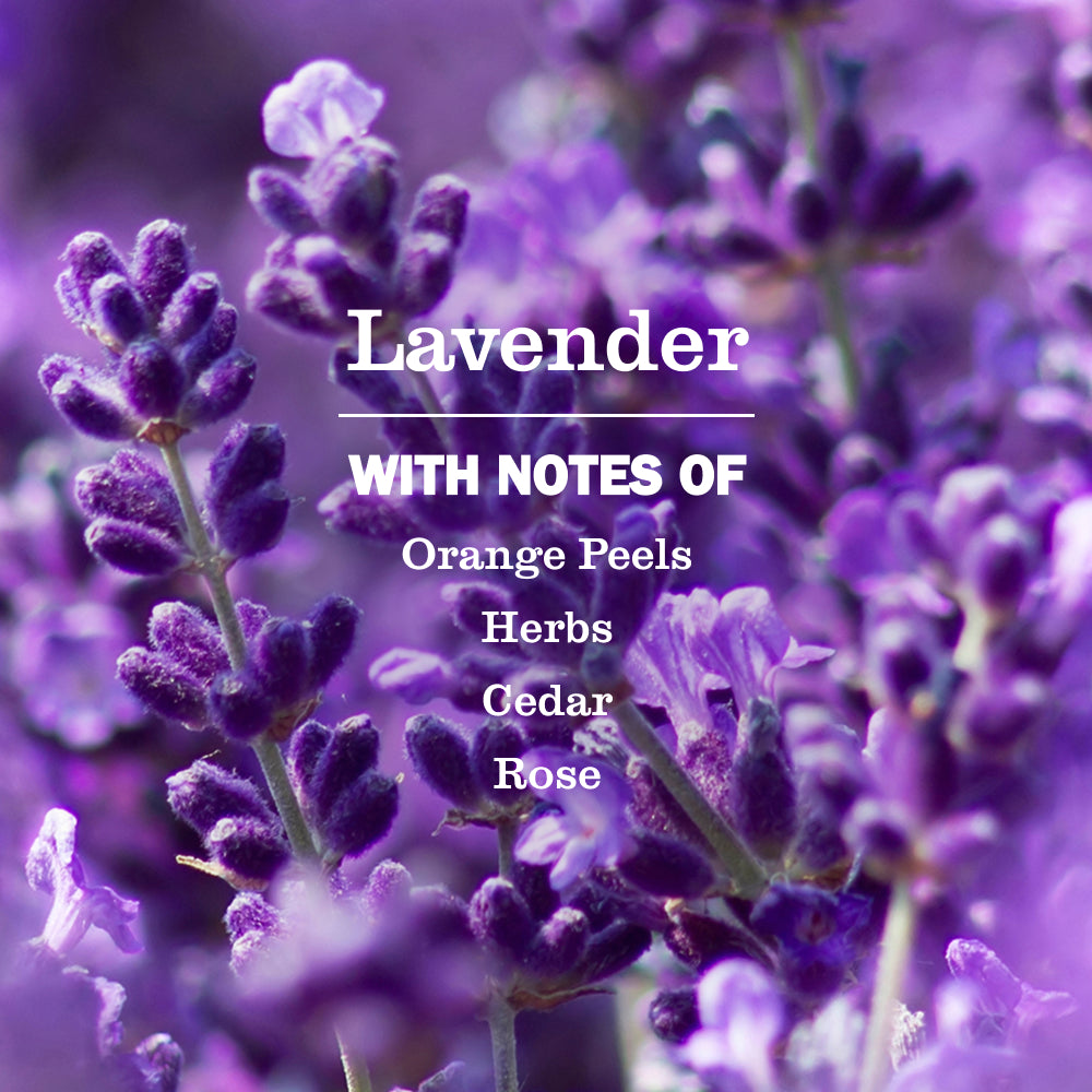 Lavender Hand Sanitizer - Image 4
