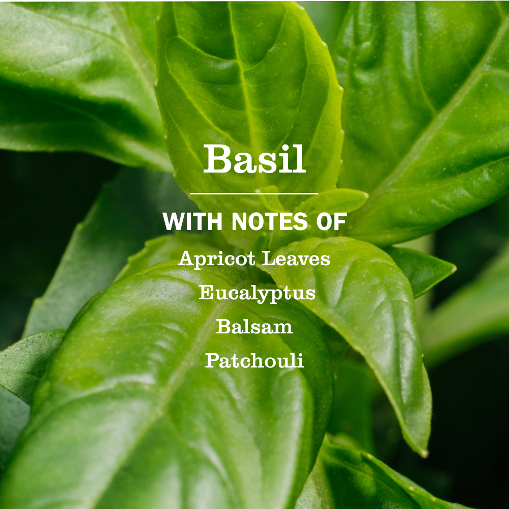 Basil Liquid Hand Soap Refill - Image 4